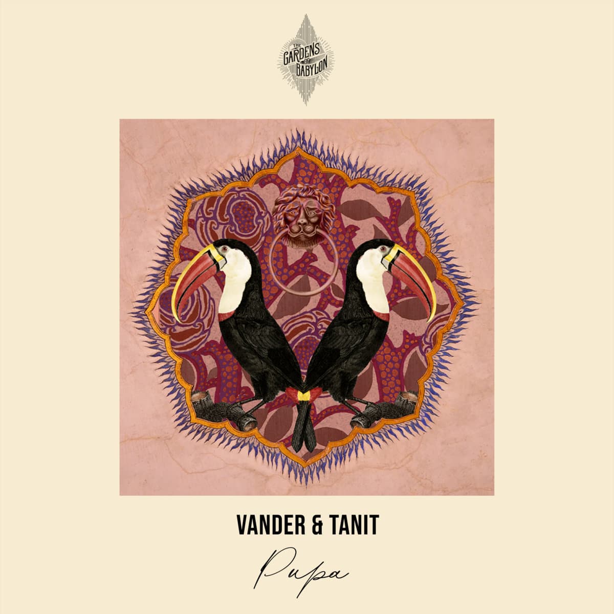 Pupa by VANDER & Tanit, cover artwork